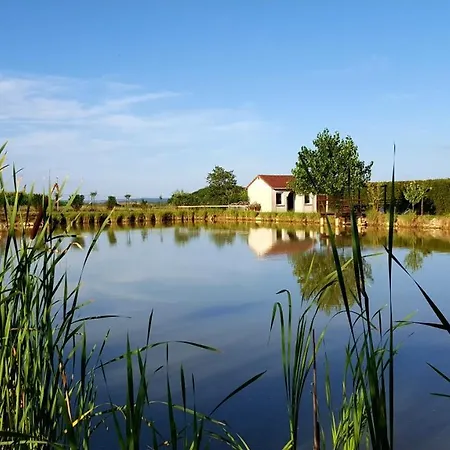 Equi-lodges Bed and Breakfast