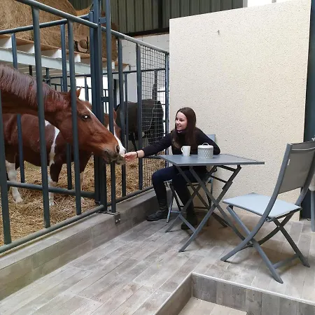 Bed and breakfast Equi-lodges