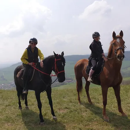 Equi-lodges