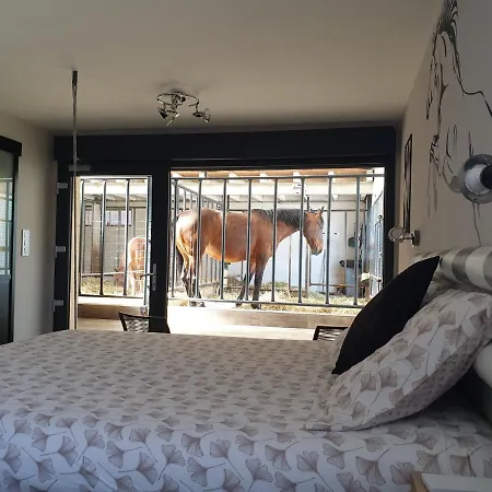Equi-lodges