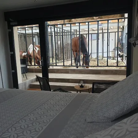 Equi-lodges Bed and Breakfast Fraisnes-en-Saintois