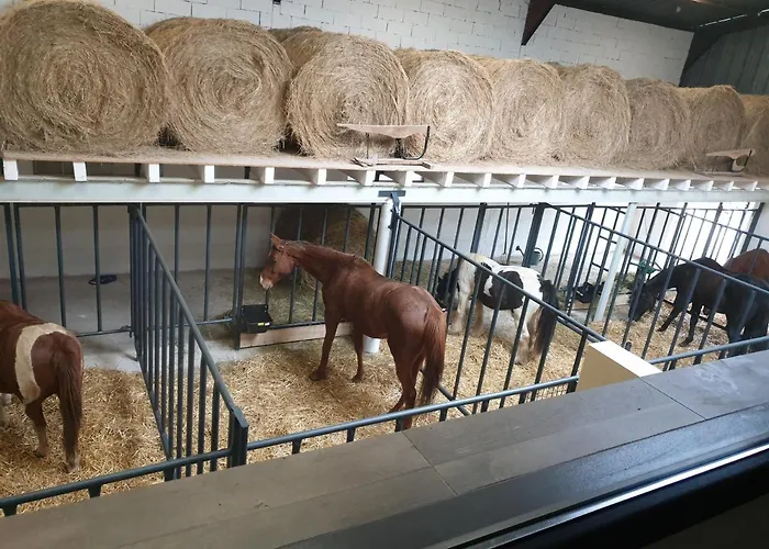 Equi-lodges Couette-café 3*