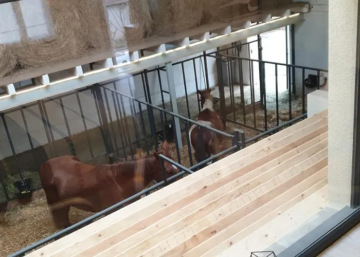 Equi-lodges 3* Fraisnes-en-Saintois