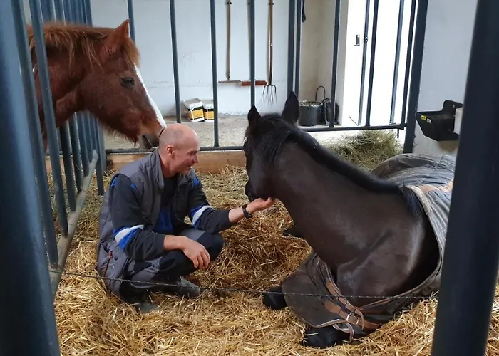 Couette-café Equi-lodges