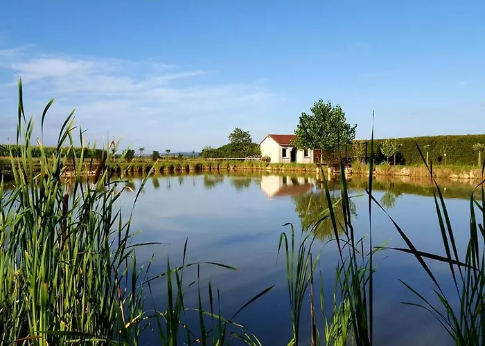 Equi-lodges Bed & Breakfast