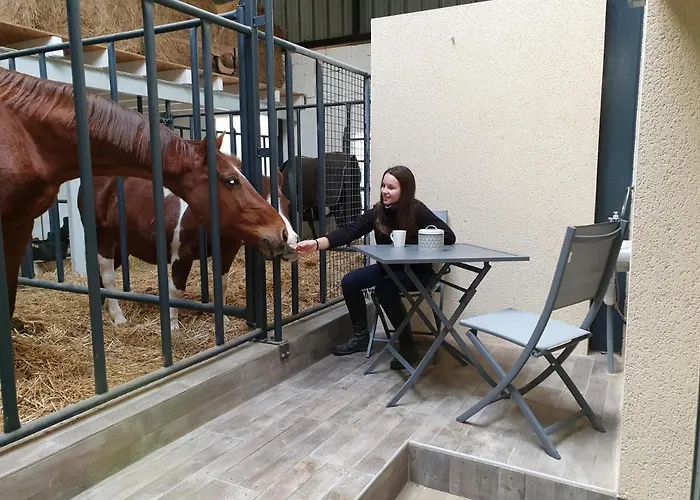 Couette-café Equi-lodges