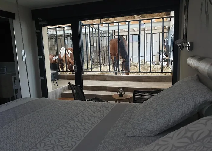 Equi-lodges Bed & Breakfast Fraisnes-en-Saintois